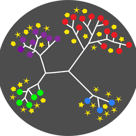 Laboratory of Somatic Evolution and Computational Biology